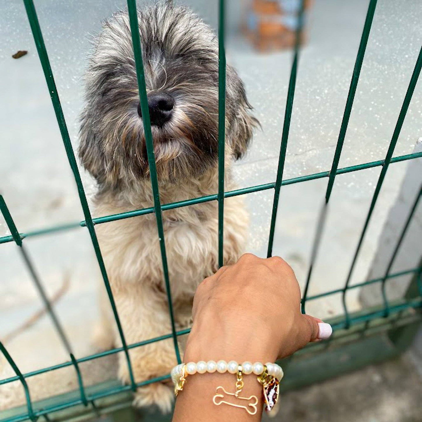 Charming bracelet: 6.75 in.