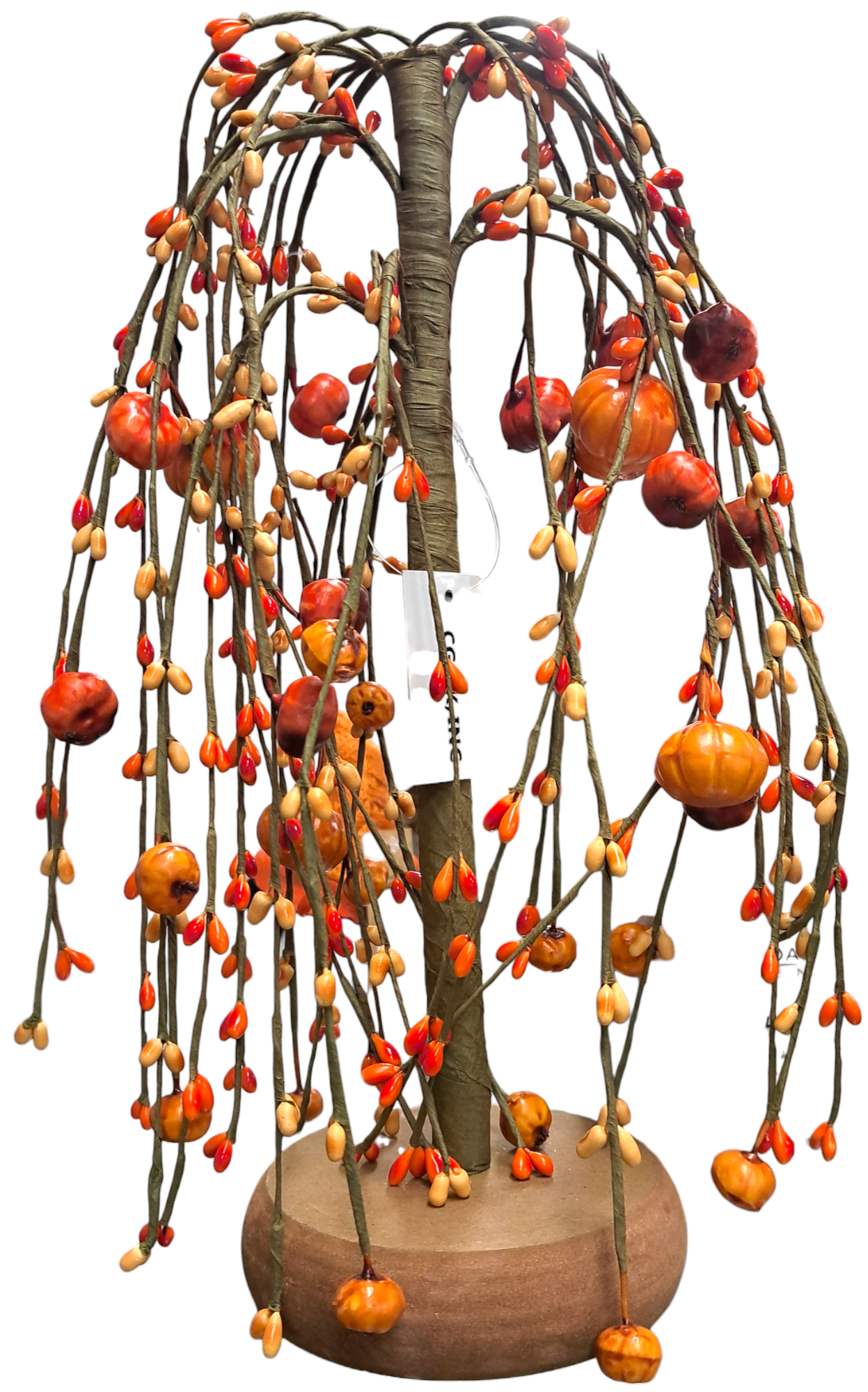 Pumpkin Willow tree