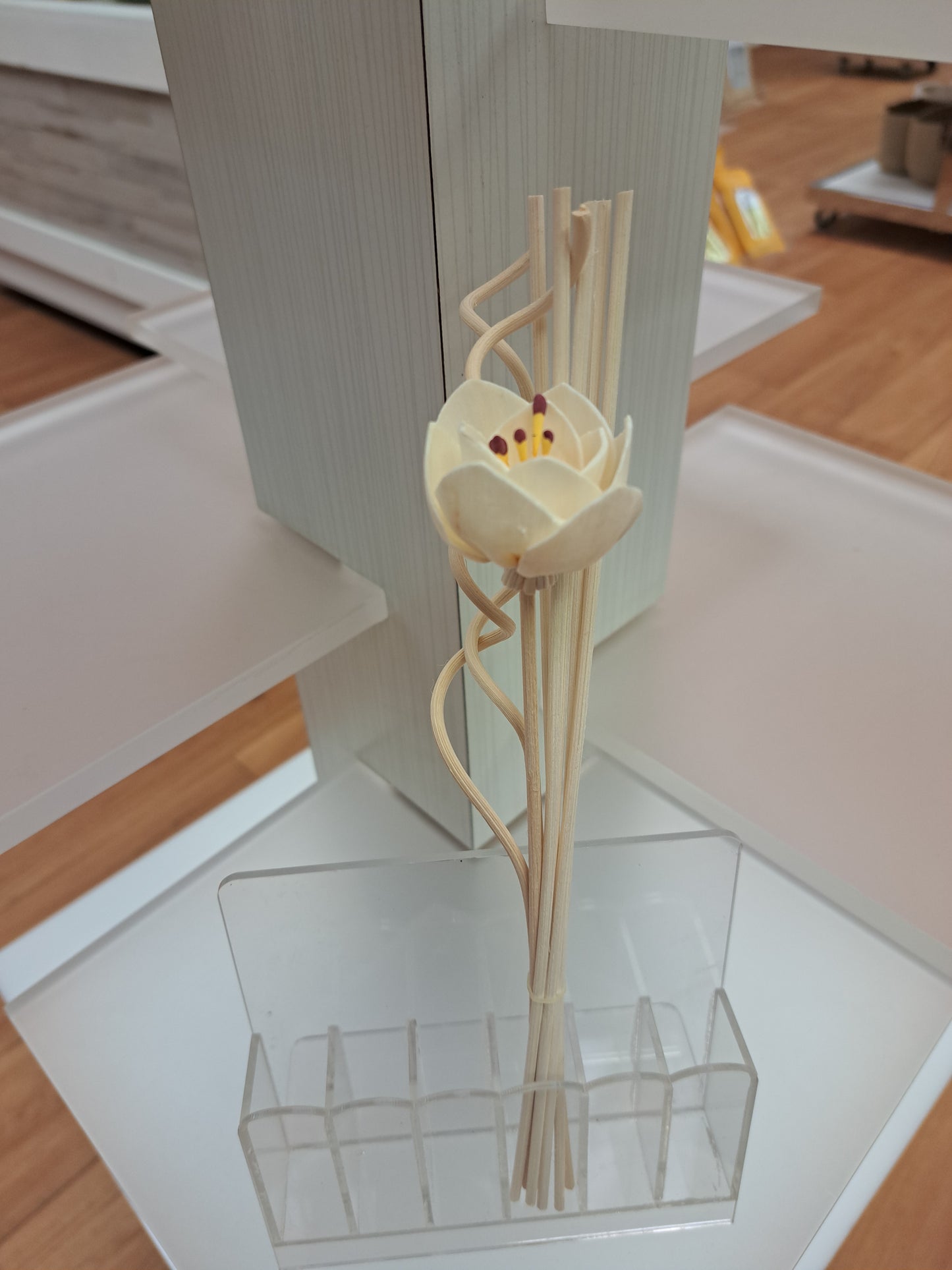 Reed Diffuser