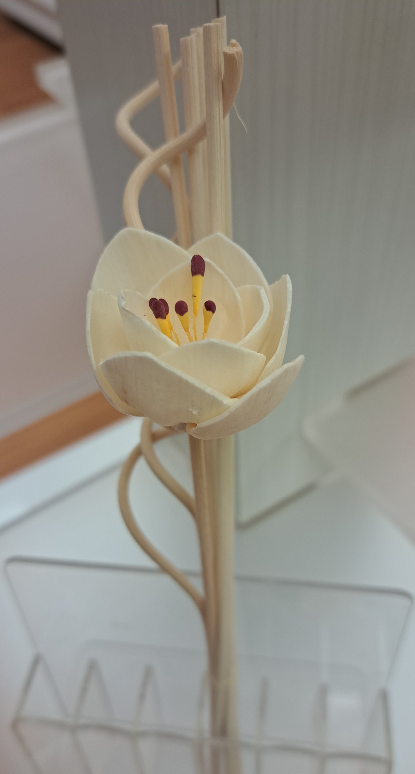 Reed Diffuser