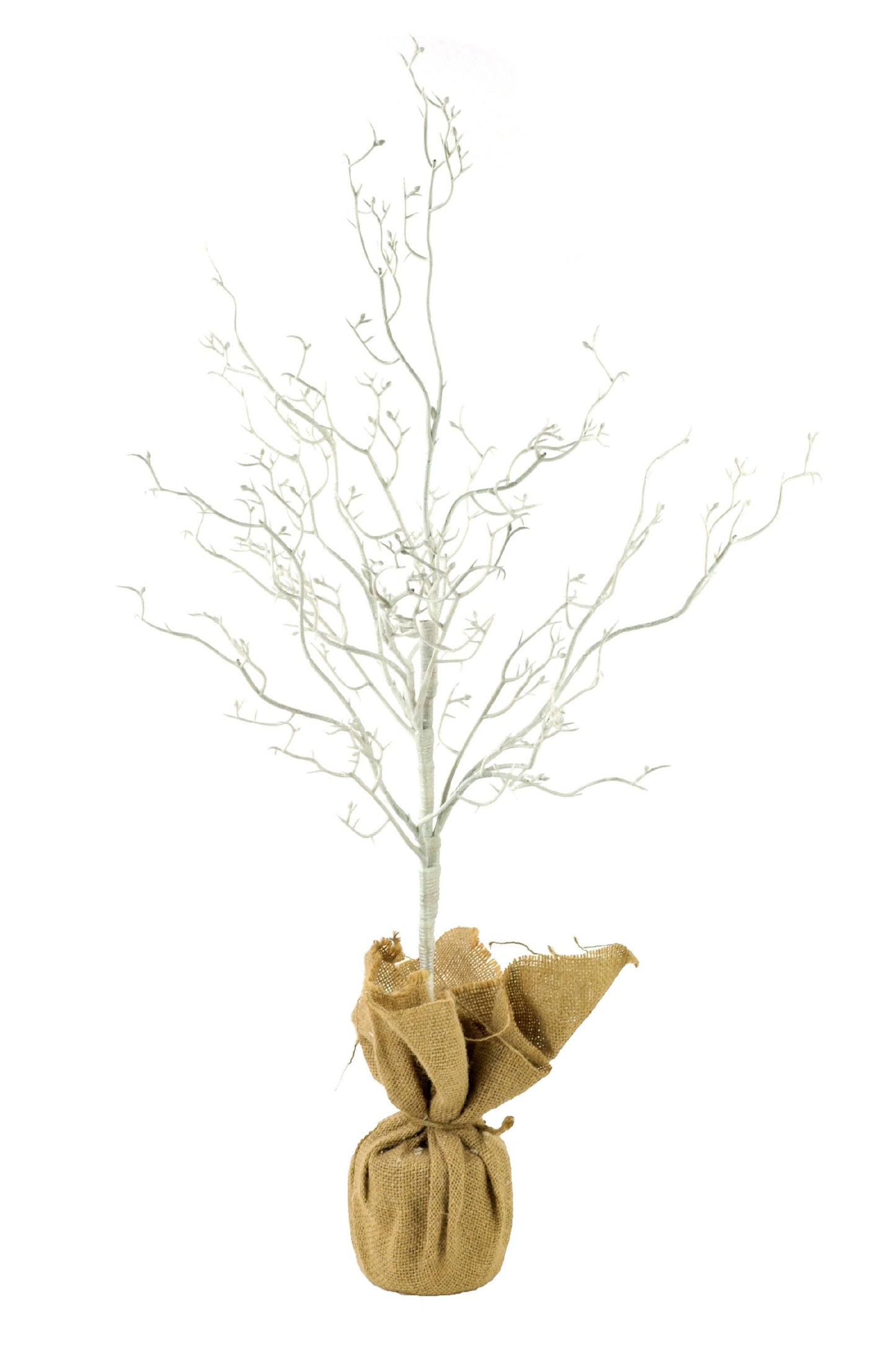 White Twig Tree