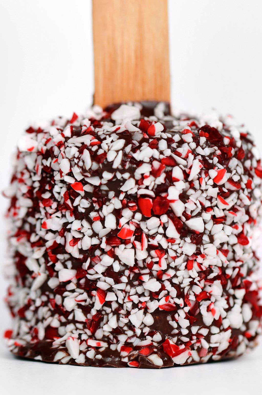 Popilicious Chocolate Covered Candy Cane Marshmallow: Dark Chocolate