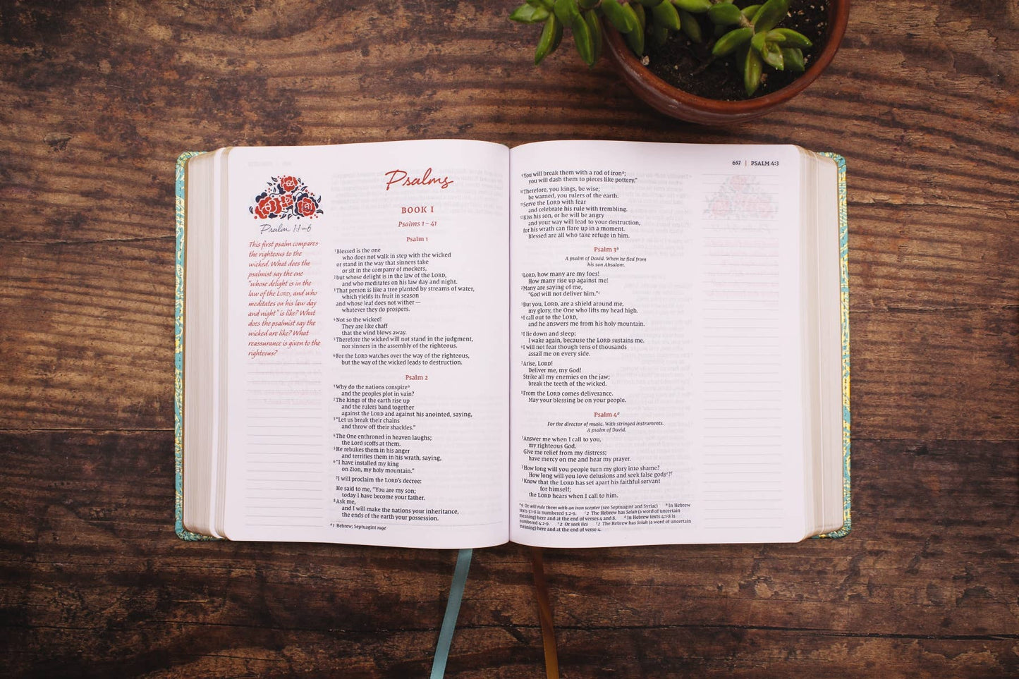 NIV Journal The Word Bible For Women