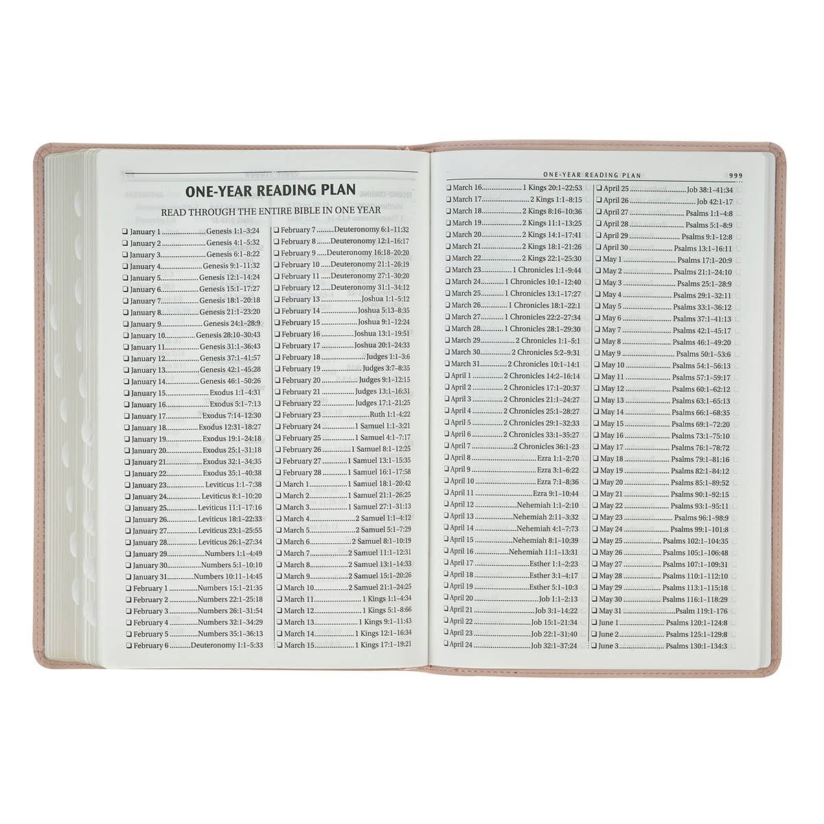 KJV Bible Thinline LP Faux Leather Trust, Pink