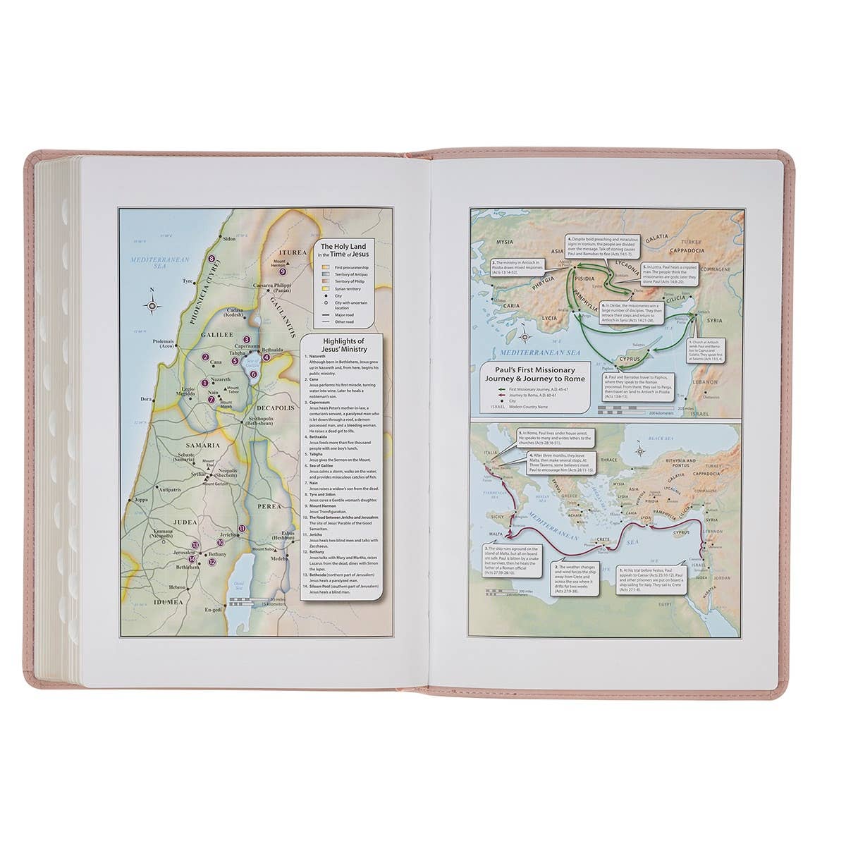 KJV Bible Thinline LP Faux Leather Trust, Pink