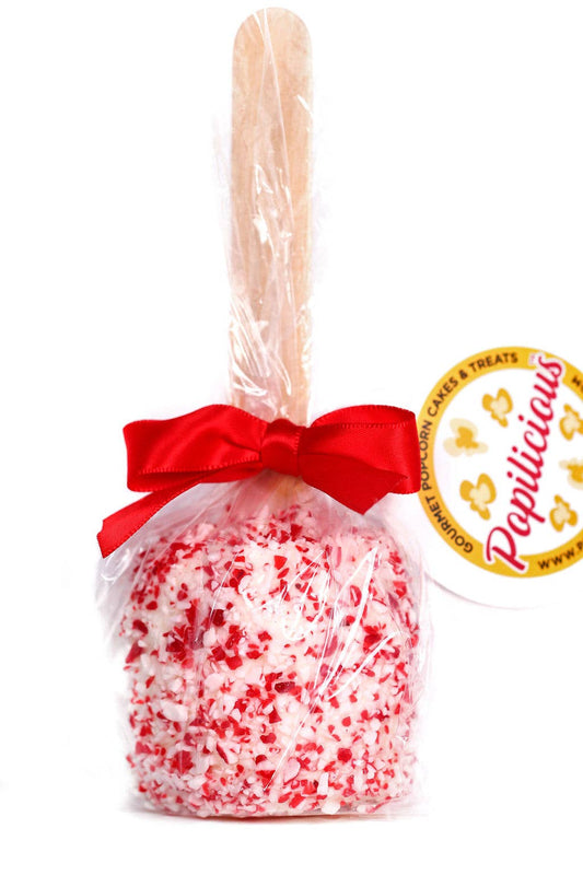 Popilicious Chocolate Covered Candy Cane Marshmallow: Dark Chocolate