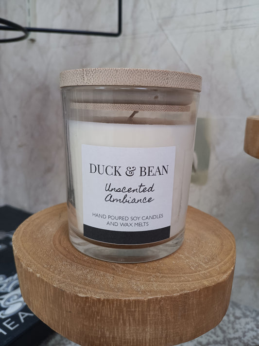 Duck and Bean Candle