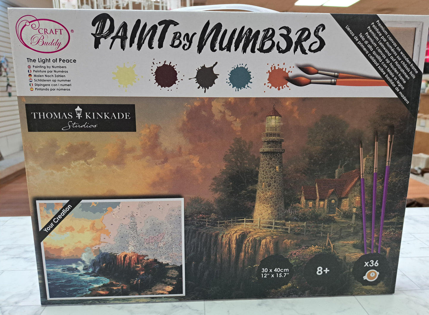 Paint by Numbers Workshop/ Kit