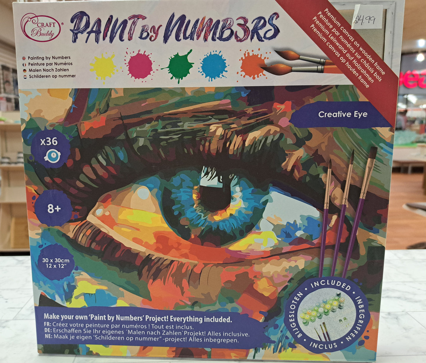 Paint by Numbers Workshop/ Kit