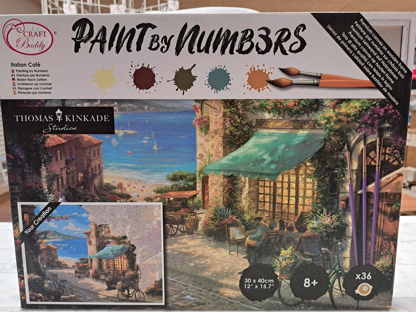 Paint by Numbers Workshop/ Kit