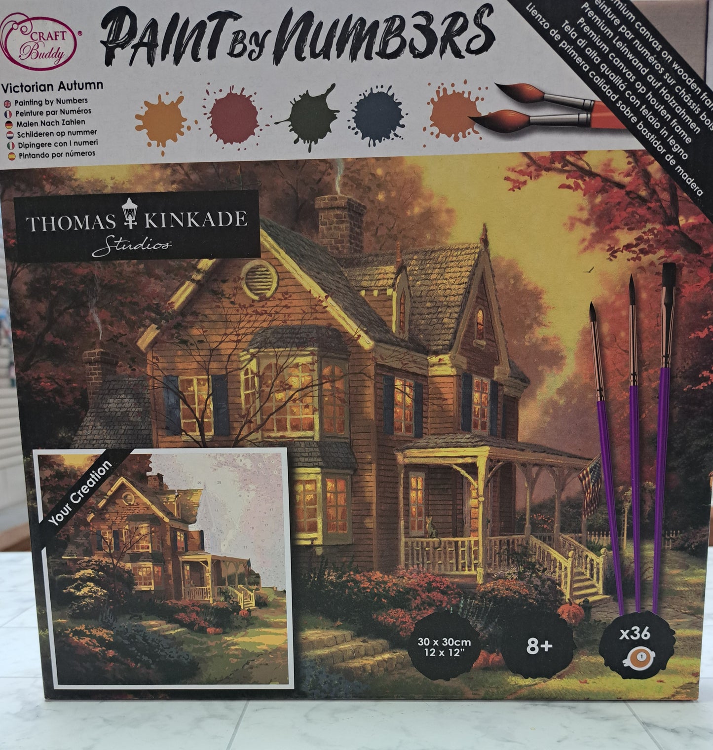 Paint by Numbers Workshop/ Kit