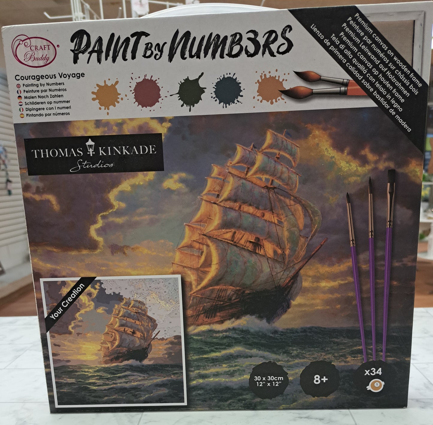 Paint by Numbers Workshop/ Kit