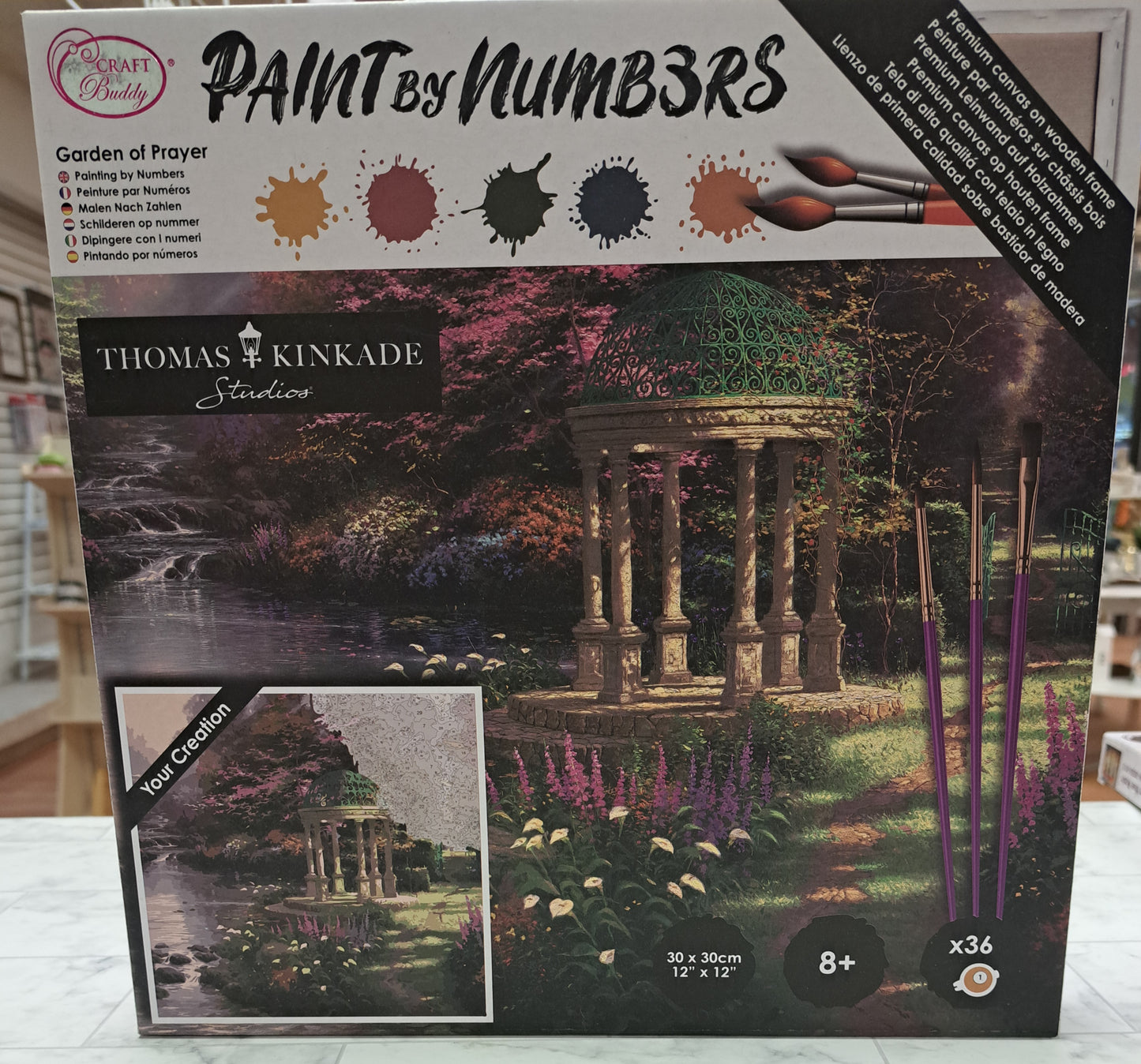 Paint by Numbers Workshop/ Kit