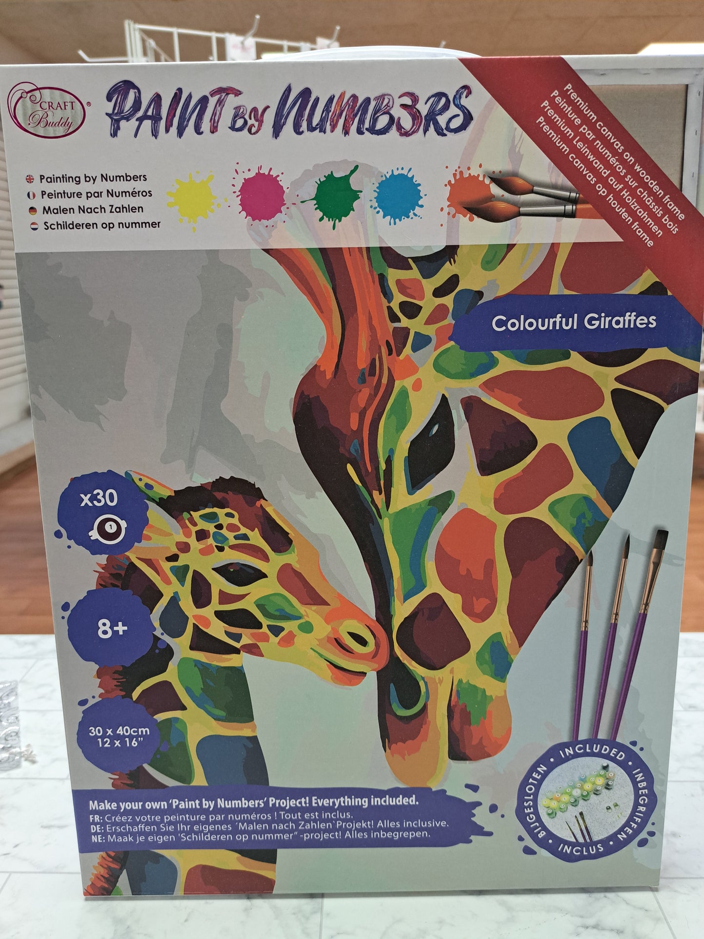 Paint by Numbers Workshop/ Kit